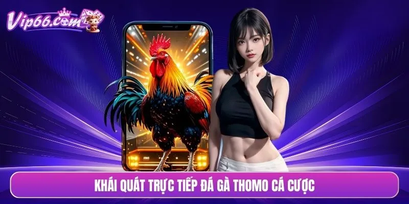Khái quát trực tiếp đá gà Thomo cá cược