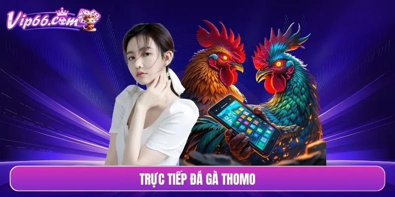 Trực tiếp đá gà Thomo
